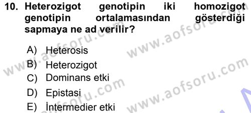 Hayvan Yetiştirme Dersi 2015 - 2016 Yılı (Vize) Ara Sınav Soruları 10. Soru