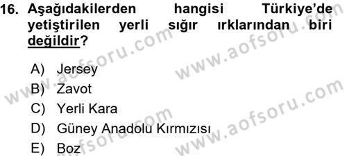 Hayvan Yetiştirme Dersi 2015 - 2016 Yılı (Vize) Ara Sınav Soruları 16. Soru