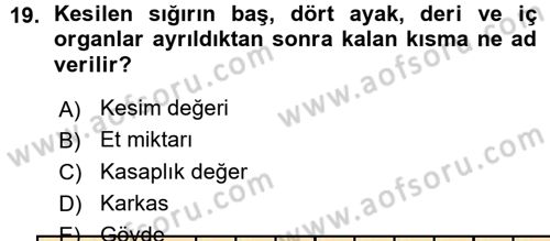 Hayvan Yetiştirme Dersi 2015 - 2016 Yılı (Vize) Ara Sınav Soruları 19. Soru