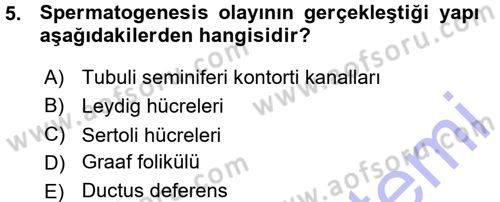 Hayvan Yetiştirme Dersi 2015 - 2016 Yılı (Vize) Ara Sınav Soruları 5. Soru