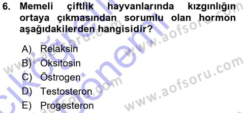 Hayvan Yetiştirme Dersi 2015 - 2016 Yılı (Vize) Ara Sınav Soruları 6. Soru