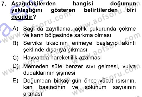 Hayvan Yetiştirme Dersi 2015 - 2016 Yılı (Vize) Ara Sınav Soruları 7. Soru