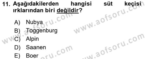 Hayvan Yetiştirme Dersi 2015 - 2016 Yılı (Final) Dönem Sonu Sınav Soruları 11. Soru