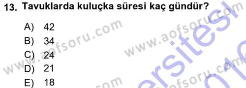 Hayvan Yetiştirme Dersi 2015 - 2016 Yılı (Final) Dönem Sonu Sınav Soruları 13. Soru