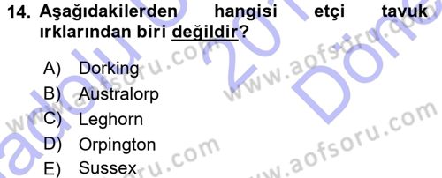 Hayvan Yetiştirme Dersi 2015 - 2016 Yılı (Final) Dönem Sonu Sınav Soruları 14. Soru