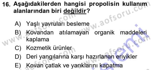 Hayvan Yetiştirme Dersi 2015 - 2016 Yılı (Final) Dönem Sonu Sınav Soruları 16. Soru