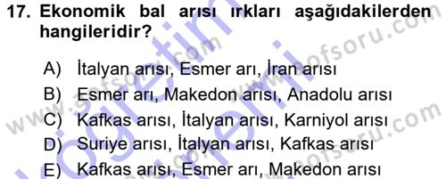 Hayvan Yetiştirme Dersi 2015 - 2016 Yılı (Final) Dönem Sonu Sınav Soruları 17. Soru