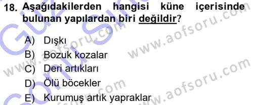 Hayvan Yetiştirme Dersi 2015 - 2016 Yılı (Final) Dönem Sonu Sınav Soruları 18. Soru