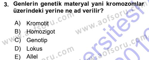 Hayvan Yetiştirme Dersi 2015 - 2016 Yılı (Final) Dönem Sonu Sınav Soruları 3. Soru