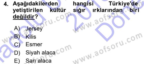 Hayvan Yetiştirme Dersi 2015 - 2016 Yılı (Final) Dönem Sonu Sınav Soruları 4. Soru
