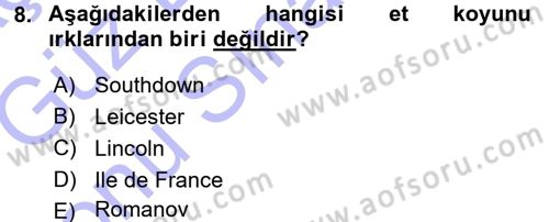 Hayvan Yetiştirme Dersi 2015 - 2016 Yılı (Final) Dönem Sonu Sınav Soruları 8. Soru