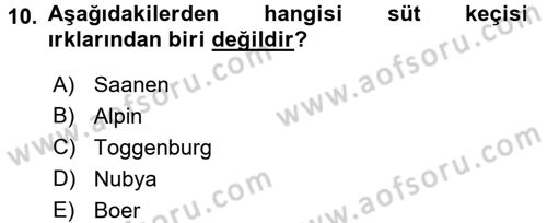 Hayvan Yetiştirme Dersi 2015 - 2016 Yılı Tek Ders Sınav Soruları 10. Soru