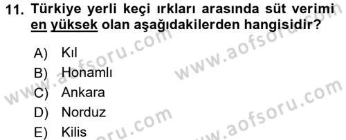Hayvan Yetiştirme Dersi 2015 - 2016 Yılı Tek Ders Sınav Soruları 11. Soru