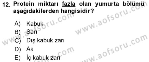 Hayvan Yetiştirme Dersi 2015 - 2016 Yılı Tek Ders Sınav Soruları 12. Soru