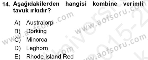 Hayvan Yetiştirme Dersi 2015 - 2016 Yılı Tek Ders Sınav Soruları 14. Soru