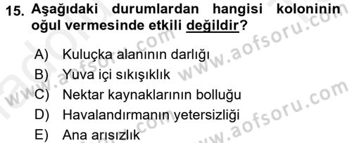 Hayvan Yetiştirme Dersi 2015 - 2016 Yılı Tek Ders Sınav Soruları 15. Soru