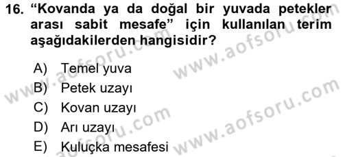 Hayvan Yetiştirme Dersi 2015 - 2016 Yılı Tek Ders Sınav Soruları 16. Soru
