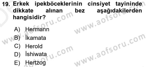 Hayvan Yetiştirme Dersi 2015 - 2016 Yılı Tek Ders Sınav Soruları 19. Soru