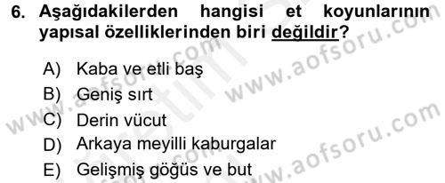 Hayvan Yetiştirme Dersi 2015 - 2016 Yılı Tek Ders Sınav Soruları 6. Soru