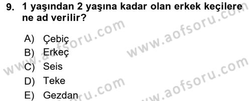 Hayvan Yetiştirme Dersi 2015 - 2016 Yılı Tek Ders Sınav Soruları 9. Soru