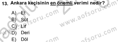 Hayvan Yetiştirme Dersi 2016 - 2017 Yılı 3 Ders Sınav Soruları 13. Soru