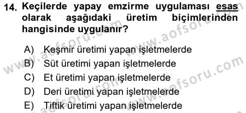 Hayvan Yetiştirme Dersi 2016 - 2017 Yılı 3 Ders Sınav Soruları 14. Soru