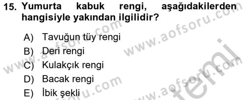 Hayvan Yetiştirme Dersi 2016 - 2017 Yılı 3 Ders Sınav Soruları 15. Soru