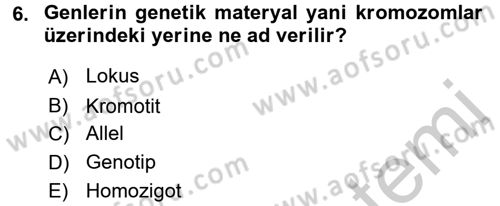 Hayvan Yetiştirme Dersi 2016 - 2017 Yılı 3 Ders Sınav Soruları 6. Soru