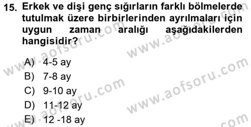Hayvan Yetiştirme Dersi 2016 - 2017 Yılı (Vize) Ara Sınav Soruları 15. Soru