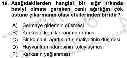 Hayvan Yetiştirme Dersi 2016 - 2017 Yılı (Vize) Ara Sınav Soruları 18. Soru
