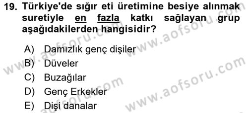 Hayvan Yetiştirme Dersi 2016 - 2017 Yılı (Vize) Ara Sınav Soruları 19. Soru