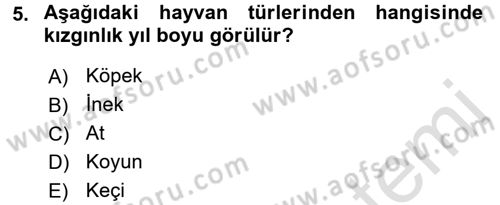 Hayvan Yetiştirme Dersi 2016 - 2017 Yılı (Vize) Ara Sınav Soruları 5. Soru
