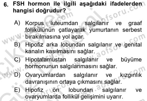 Hayvan Yetiştirme Dersi 2016 - 2017 Yılı (Vize) Ara Sınav Soruları 6. Soru