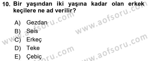 Hayvan Yetiştirme Dersi 2016 - 2017 Yılı (Final) Dönem Sonu Sınav Soruları 10. Soru