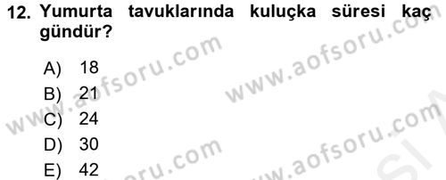 Hayvan Yetiştirme Dersi 2016 - 2017 Yılı (Final) Dönem Sonu Sınav Soruları 12. Soru