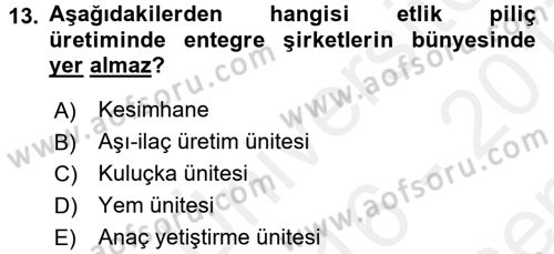 Hayvan Yetiştirme Dersi 2016 - 2017 Yılı (Final) Dönem Sonu Sınav Soruları 13. Soru