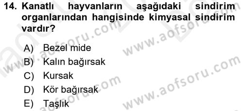 Hayvan Yetiştirme Dersi 2016 - 2017 Yılı (Final) Dönem Sonu Sınav Soruları 14. Soru