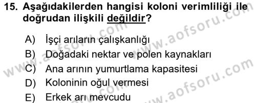 Hayvan Yetiştirme Dersi 2016 - 2017 Yılı (Final) Dönem Sonu Sınav Soruları 15. Soru