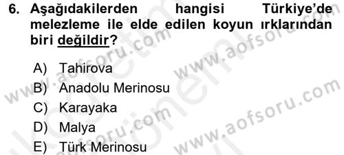 Hayvan Yetiştirme Dersi 2016 - 2017 Yılı (Final) Dönem Sonu Sınav Soruları 6. Soru