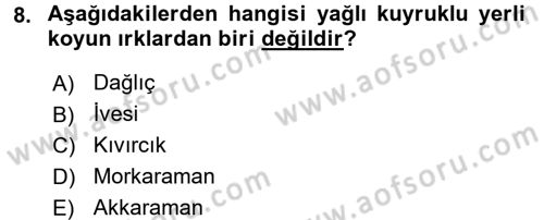 Hayvan Yetiştirme Dersi 2016 - 2017 Yılı (Final) Dönem Sonu Sınav Soruları 8. Soru