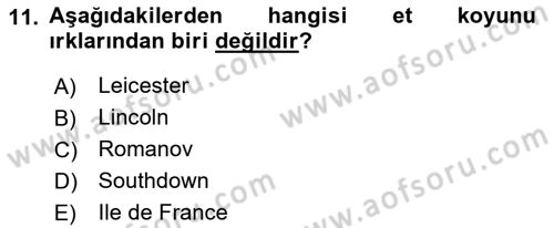 Hayvan Yetiştirme Dersi 2017 - 2018 Yılı 3 Ders Sınav Soruları 11. Soru