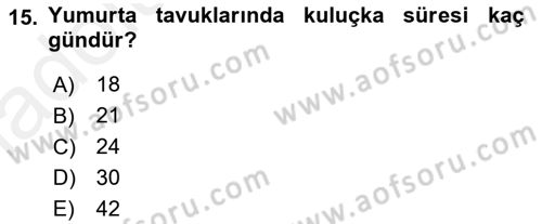 Hayvan Yetiştirme Dersi 2017 - 2018 Yılı 3 Ders Sınav Soruları 15. Soru