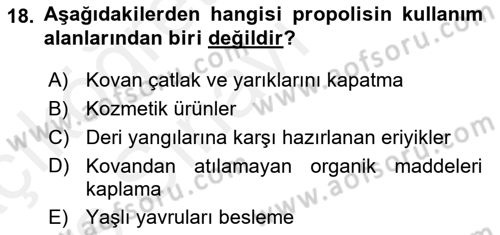 Hayvan Yetiştirme Dersi 2017 - 2018 Yılı 3 Ders Sınav Soruları 18. Soru
