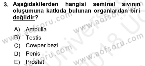 Hayvan Yetiştirme Dersi 2017 - 2018 Yılı 3 Ders Sınav Soruları 3. Soru