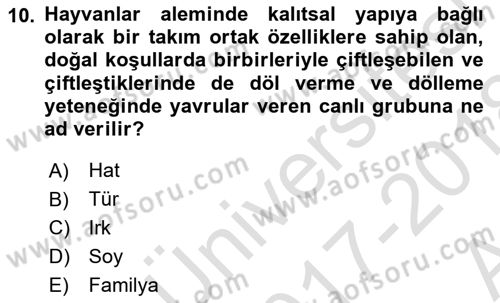 Hayvan Yetiştirme Dersi 2017 - 2018 Yılı (Vize) Ara Sınav Soruları 10. Soru