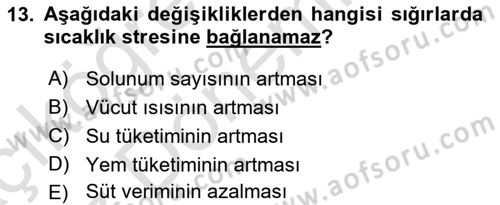 Hayvan Yetiştirme Dersi 2017 - 2018 Yılı (Vize) Ara Sınav Soruları 13. Soru