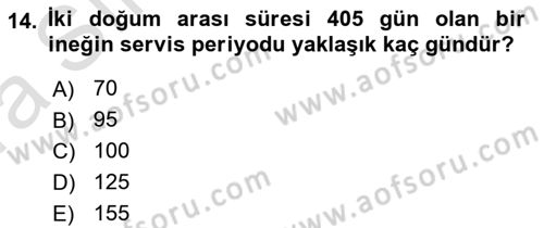 Hayvan Yetiştirme Dersi 2017 - 2018 Yılı (Vize) Ara Sınav Soruları 14. Soru
