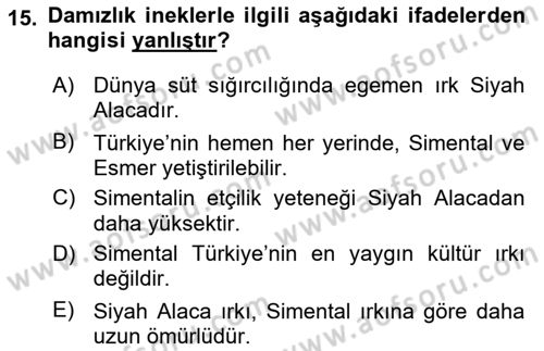 Hayvan Yetiştirme Dersi 2017 - 2018 Yılı (Vize) Ara Sınav Soruları 15. Soru