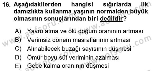 Hayvan Yetiştirme Dersi 2017 - 2018 Yılı (Vize) Ara Sınav Soruları 16. Soru