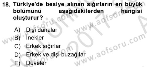 Hayvan Yetiştirme Dersi 2017 - 2018 Yılı (Vize) Ara Sınav Soruları 18. Soru